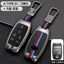 청춘카 기아 자동차 스마트 키케이스 차 메탈 키홀더 키링 키커버 올뉴카니발 더뉴카니발, A TYPE 01 그레이(6버튼)