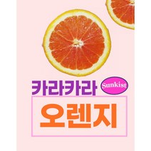 오렌지 카라카라 오렌지 1kg 1일 비타민 100% 핑크 오렌지 카라카라 시원달콤 오렌지 고당도 비타민 파워 오렌지
