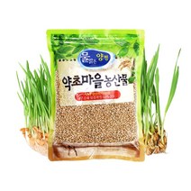 무농약 앉은뱅이밀 새싹 밀씨앗 토종밀싹 종자용, 1개