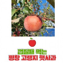 평창사과 껍질째먹는 고랭지사과 꿀부사사과 10kg 40과 내외 친환경햇부사, 상세페이지 참조, 상세페이지 참조