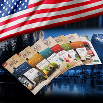 오토스틱 차량용 방향제, 코코넛향