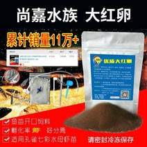 생 브라인 쉬림프 물벼룩 냉브 생브 부화기 Shangjia Aquarium Big Red Egg 올해의 새로운 계란은 소금물 새우 계란을 부화시킬 수 있습니다 생선 튀김 오픈
