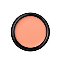 14g 프로페셔널 컨실러 팔레트 베이스 스무스 주근깨 도트 브라이트닝 스킨 컬러 커버, 에이6