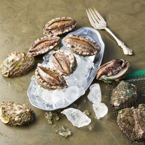 완도전복 산지직송, 1개, 소사이즈 15~20마리 500g(W40500A)