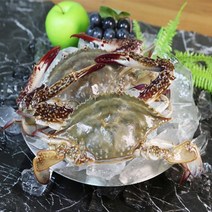 연평도 산지직송 수율 프리미엄 가을 급냉 꽃게, 연평도 암꽃게 중1kg(3~4미), 1개