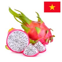 [익스프레쉬] 베트남 용과 5개 10개, 500g내외