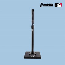 프랭클린 배팅티 24905 TOTAL TEE 티볼티 타격연습