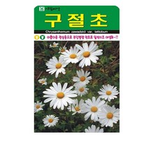 SN월드 야생화 씨앗 꽃씨앗 모음, 야생화 - 구절초(1000립)