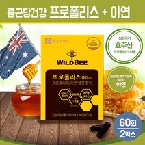 종근당 프로폴리스 캡슐 플라보노이드 아연 셀렌 항산화 영양제 비프로폴리스 추출물 알약 건강기능식품 호주 PROPOLIS, 1팩, 와일드 비프로폴리스 플러스 60C 2박스