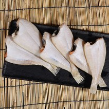 [구룡포수협]반건조 참가자미 국산 반찬용 구이용 조림용 생선, 1kg /중 / 12미 전후