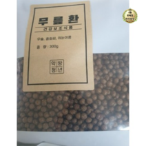 무릎환 300g (우슬 홍화씨 쥐눈이콩) 1개