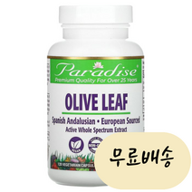 [미국타블렛품 100%보장] 올리브 잎 베지 타블렛 120타블렛 빠른직구 PAR77773, 1개