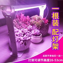 화훼단지 수경재배 성장등 음지식물 LED 식물등 집에서할수있는취미 상추키우기 바형 새싹삼 전구 다육이종류 대형화분, 고출력 전 스펙트럼 0.9m 60w 1개