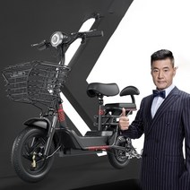 DG-ZS 전기자전거 전동 스쿠터 2인승 조력 레저대보차, 블랙