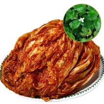 국내산 유기농 한방 포기김치3kg, 어성초포기김치, 김치3kg