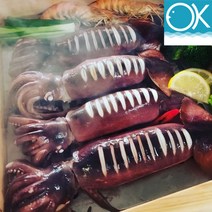 국내산 선동 급냉 초코오징어 통오징어 5미 1kg 통찜용 숙회용 초콜렛오징어, 소(130g전후 x 6미), 1개