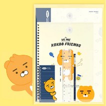 카카오프렌즈 A+ 문구세트 4950, 라이언4950