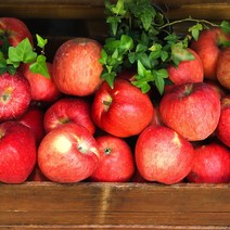 경북 산지직송 당도선별 가정용 정품 꿀사과 부사사과 2kg 3kg 5kg 10kg, (특가-가정용) 2kg / 중소과 / 7-9과