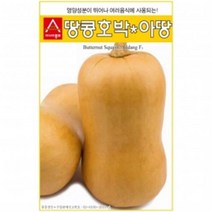 아시아종묘 호박씨앗종자 땅콩호박-아땅 (1000립)