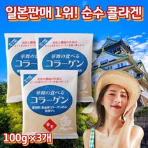 프레쉬자판기 대용량 일본 하나마이 하나미 저분자 피쉬콜라겐 펩타이드 100g x 3개