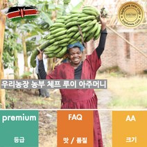 캅카와 생두 케냐 AA FAQ+ 케리초 (뉴크롭), 5kg