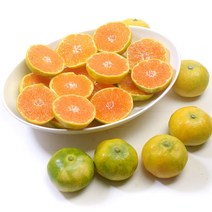 산지직송 제주 감귤 가정용 꼬마 1kg 효돈감귤