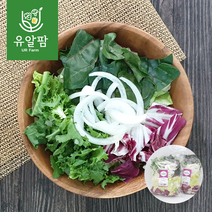 의령농산 유알팜 당일채소 당일제조 당일발송 싱그런 믹스 샐러드 80g 5팩 추가증정랜덤1팩, 싱그런믹스 샐러드 80g×5팩