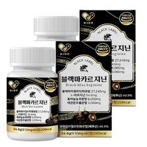 헬씨알엔 블랙마카르지진910mgx60정 x2통 L-아르지닌 블랙마카젤리틴화분말 흑마늘 야간문