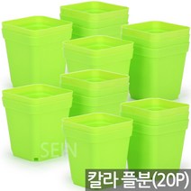 칼라 사각포트 옐로우 20개 - 연결 이색 플분 미니화분 다육이 화분 플라스틱 미니사각 화분컵 모종 연결구 망포트 매쉬포트 재배