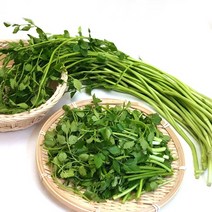 미스터팜팜 당일수확 순천 싱싱 미나리 2kg (500g 4개), 1개, 2kg(500g*4)