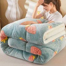두꺼운 가을이불 보온 간절기 뽀글이 겨울 양털