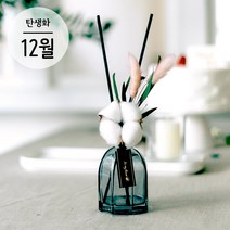 12월 탄생화 디퓨저 목화 세트 500ml 향기뿜뿜 천연디퓨저 꽃집향기 인테리어 집들이 생일선물, 이슬꽃