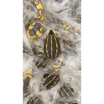 악어 늑대 거북 모형 모양 수지 공예품 동물 피규어 진짜 정교한 조각 인테리어 상품, C