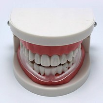 [소공원]이갈이방지 마우스피스 가드 잠잘때 자면서 개구기 이악무는 이꽉무는 이빨갈기 습관 치아보호, 형상기억 마우스피스