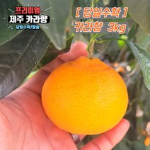 당일수확 고당도 제주 카라향 가정용 3kg 5kg 10kg 제주도귤, 선택1. 혼합과_못난이 3kg, 1개