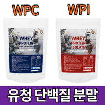 농축 순수 유청단백질 헬스 근육 WPC WPI 보충제 수입프로틴 동물성 식물성 운동후 마시는 단백질 WHEY 프로틴 가루 파우더 추천 500g 900g, 3. 분리유청단백질 WPI（500g）