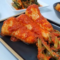 아삭한 알타리무 살짝매운 전라도 총각김치 10kg 묵은 먹거리