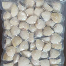 냉동 백합 조개 1kg, 백합조개 1kg, 1개