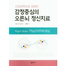 신경과학으로 설명한 감정중심의 오른뇌 정신치료, 학지사, Allan N. Schore