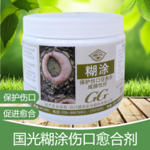 나무상처치료제 연고제 보호제 수목보호 영양제, 스카론 600g, 600g, 1개