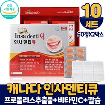 캐나다 인사덴티큐 120정 프로폴리스 추출물 칼슘 비타민C 치아 건강 도움 영양제 대용량, 10개, 120정+알약케이스증정