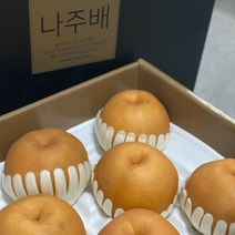 명품 나주배 고당도 신고 배 선물용 특품 5kg 2023년 햇배 산지직송, 5kg / 특대과(5~7과)