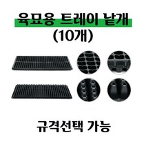 [좋은농자재] 육묘 트레이(낱개-10개), 72구
