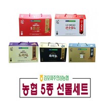 홍삼 흑마늘 산수유 도라지 칡 진액 건강즙 선물세트, 농협흑마늘진액