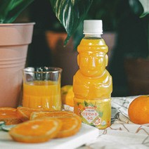 제주향 100% 착즙주스 330ml 8개 청귤 감귤, 제주향 청귤 주스 8개