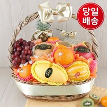 927 낮 12시 퀵배송 마감과일선물세트 프리미엄 과일바구니(수도권 당일전국 익일)(토일 휴무) -인증