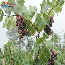 2 유형 흰색 농업 과수원 과일 나무 나일론 곤충 brid net 야외 온실 포도원 물고기 연못 보호 노화 방지 커버, 그리드 2cm, 7mx10m