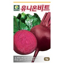 유니온비트씨앗 250g[FC], 단품