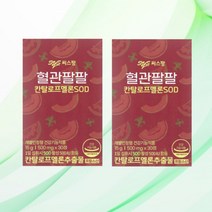 씨스팡 혈관팔팔 칸탈로프멜론SOD 500mg x 30정 2박스, 1개