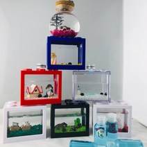 마리모세트 피규어구성 led마리모 마리모밥증정, 옵션11